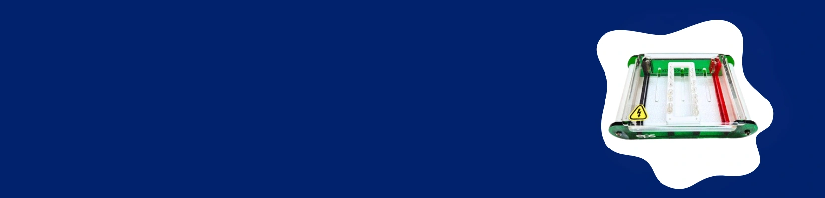 Immuno Gel Electrophoresis Equipment Manufacturers in Chennai