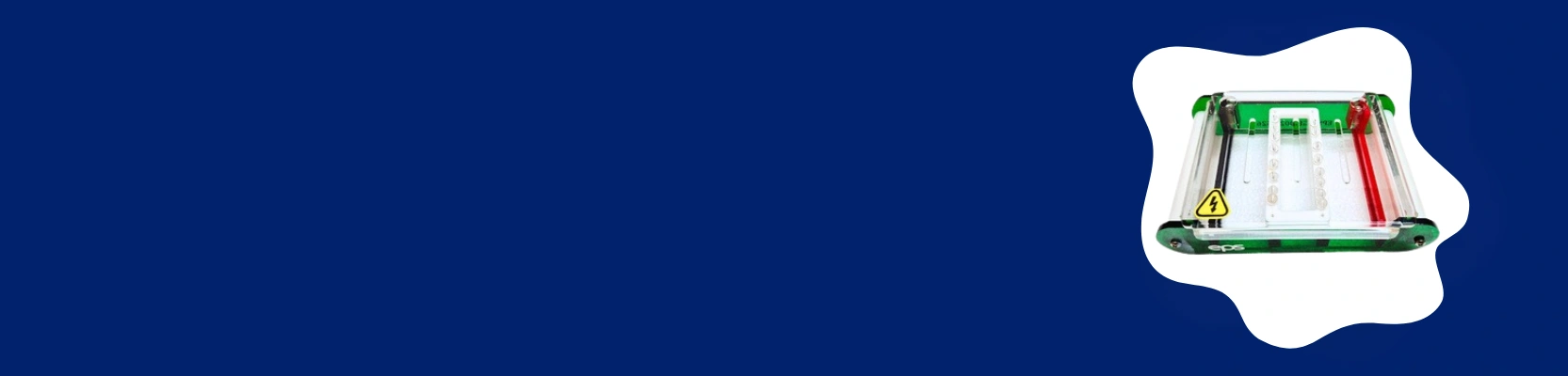 Paper Electrophoresis Equipment Manufacturers in Chennai