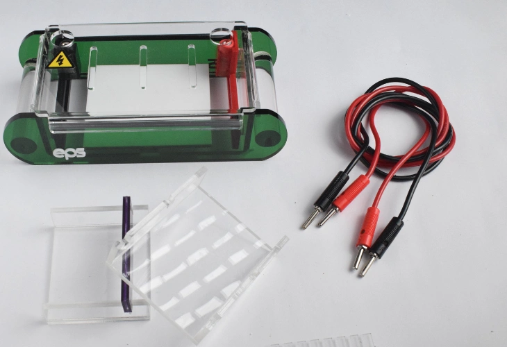 Gel Electrophoresis Equipment Manufacturers in Chennai Submarine Gel Electrophoresis Equipment Manufacturers in Chennai
